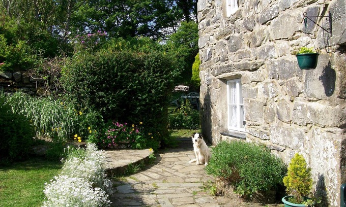 Harlech Other | Pet-Friendly Self-Catering Farmhouse Near Harlech, Wales