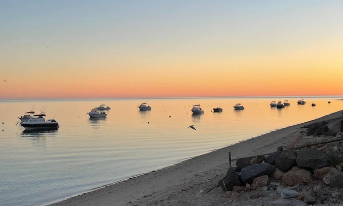 Muloowurtie House | Discover Peter's Port: Ocean View & Pet-Friendly Retreat