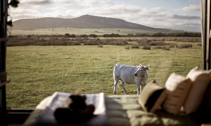 Merivale Cabin | Guest Rated 10/10: Peter the Tiny Cabin in Esperance