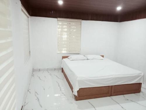Alwaye House | Pet-Friendly PeterCottage Homestay with Oceanfront Views