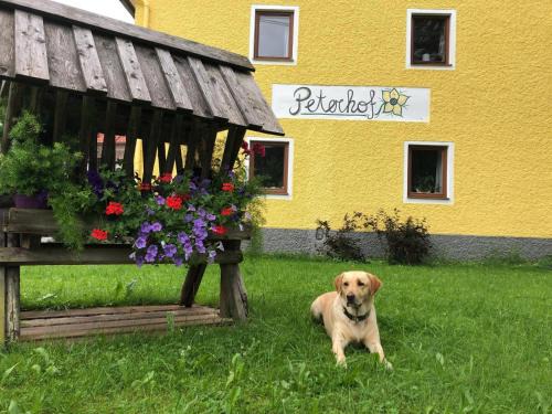Hinterstoder Apartment | Peterhof – komm als Gast & geh als Freund