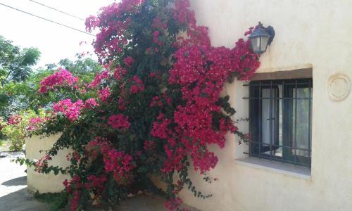 Katochori House | Exceptional Stay at Petra & Elia - Family-Friendly Amenities