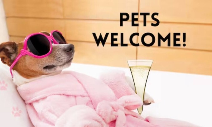Terrell Heights House | Pets Ok! Close to Pearl-Ft Sam-Riverwalk-Alamo
