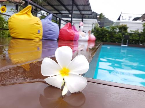 Lamai Resort | Discover Phannarai House: Oceanfront Oasis with Pool