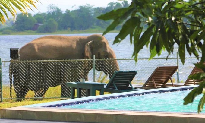 Polonnaruwa Hotel | Discover Pharo Lake: Family-Friendly Retreat with Pool & Breakfast