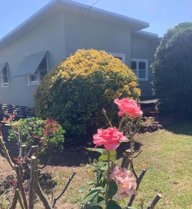 Scone House | Pet-Friendly Philomena: A Unique Retreat in Scone