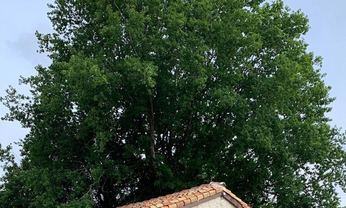 Juignac Ski Chalet | Piaf at Bassinaud