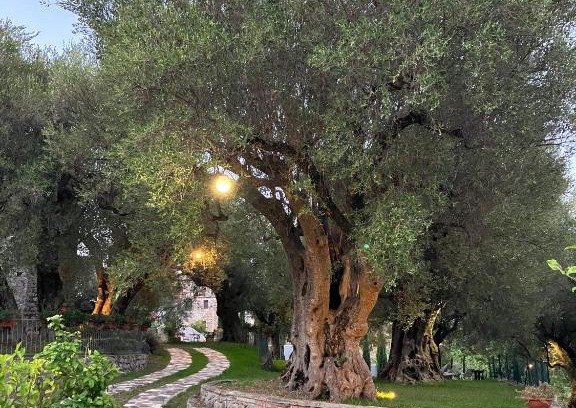 Bosco House | Pie' d'Ulivo: Guest Rated 10/10 with Hot Tub & Breakfast