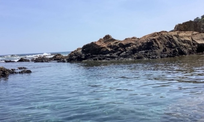 Tarcu Apartment | Discover Pieds dans l'eau Secret Creek for Unforgettable Stays