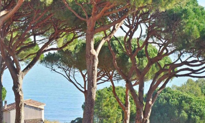 La Nartelle Apartment | Ideal Family Retreat: Pierre et Vacances n° 14 Appartement