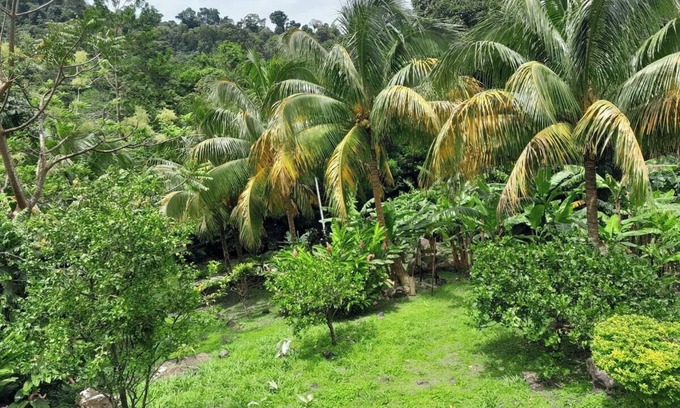 Pointe Michel Resort | Inviting Pinard's Mountain Resort - Cottage 5 with Ocean Views