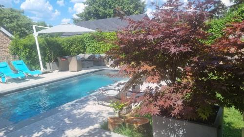 Sart-lez-Spa Apartment | Inviting Pine Cottage with Ocean View & Pool in Sart Lez Spa