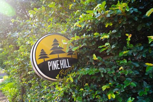 Soc Son Resort | Relax at Pine Hill Villas & Camping with Oceanfront Views