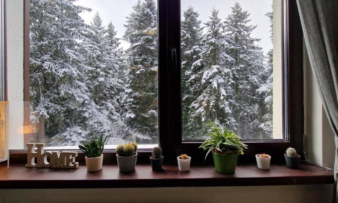 Borovets Apartment | Top Rated Pine Tree Apartment with Breakfast & Accessibility
