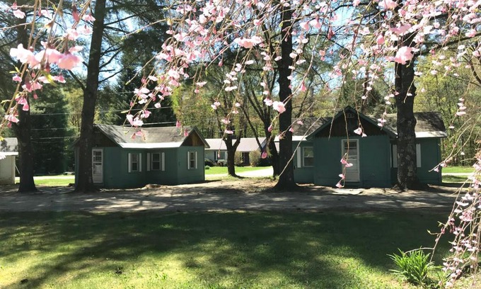 Thornton Hotel | Discover Pine Valley Cabins with Pool and Kitchen Amenities