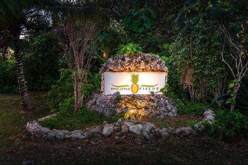 Governor's Harbour Apartment | Relaxing Oceanfront Retreat at Pineapple Fields Hotel