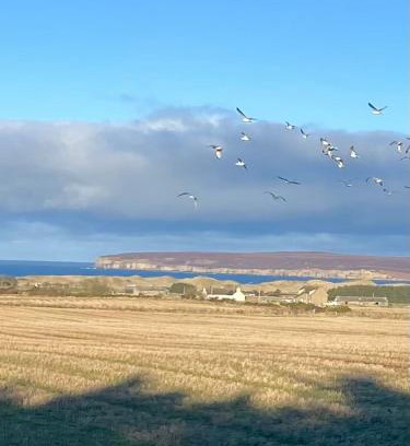Hunspow House | Pinelodge, Dunnet Bay