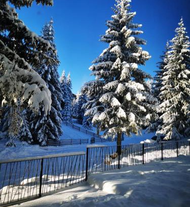 Kasidoli Apartment | Outstanding PineTree Jahorina: Family-Friendly Hot Tub Retreat