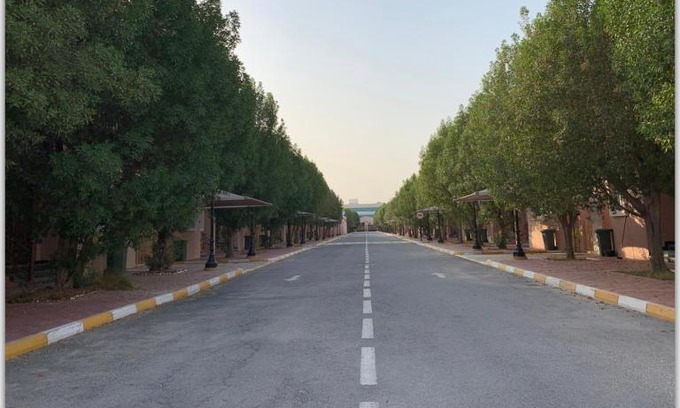 Doha Villa | Elegant Pink Villa with Private Pool & Pet-Friendly Stays