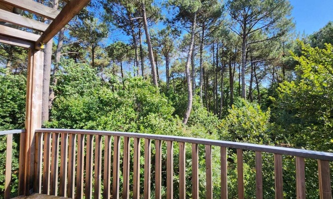 Audenge Apartment | Pins et marée" apartment, where the forest meets the ocean. Bassin d'Arcachon.