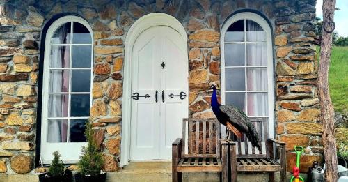 Takaka Hill Other | Cozy Sunrise Cottage & Bunks - Pet Friendly Retreat