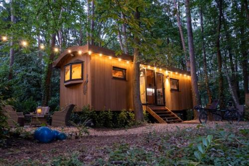 Lanaken Other | Cozy Pipowagen de Pauw in Tranquil Limburg Forests