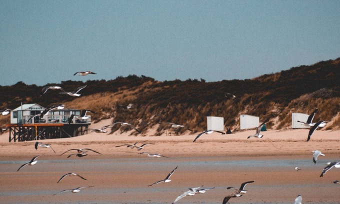 's-Gravenzande Resort | Discover Pipowagen op het park: 10/10 Guest Rated Retreat