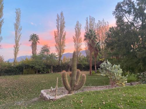 Rivadavia Hotel | Discover Pircas de Puyuta: Family-Friendly with Pool
