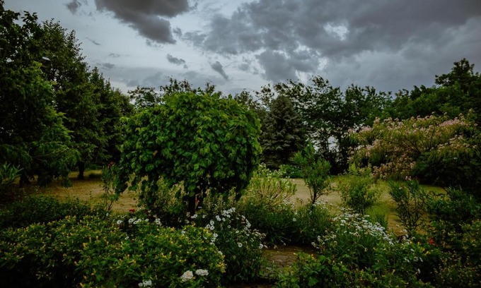 Szekkutas House | Discover Piroska Vendégház: Perfect for Families and Pets