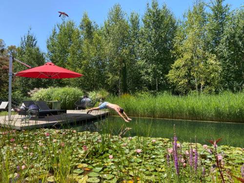 Stanley House | Experience Planetrees Estate: 4-Star Oceanfront Retreat