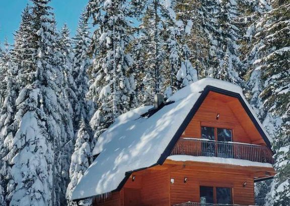 Kasidoli Ski Chalet | Guest Rated: 9.8 at Planinska kuća Dunja - Pet Friendly Retreat