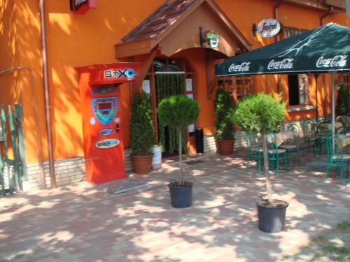 Nagyszenas Bed & Breakfast | Pet-Friendly Platán Panzió with Kitchen & Breakfast Options