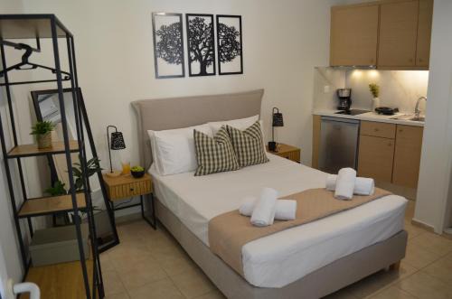 Spilion Apartment | Platanos View Studio