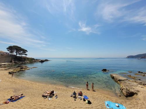Calella de Palafrugell Apartment | Oceanfront Playa Canadell MAR P with Scenic Terrace Escape