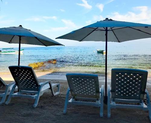 Bocachica House | Beachfront Retreat at Playa Tortuga Cabaña with Spa