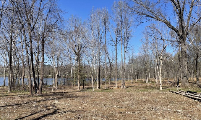 Carbondale RV Rental | Explore PLAYPORT South Camp: Perfect for Families & Nature