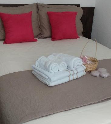 Mangabeira Apartment | Exceptional Plaza Fraga Maia: Pet-Friendly with Pool Access