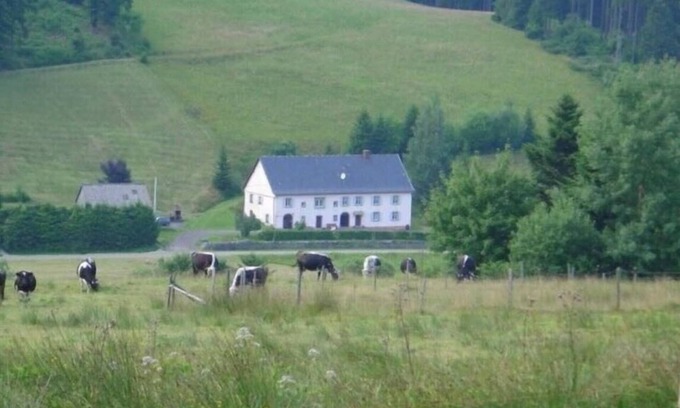 Le Bonhomme Apartment | Inviting 8-Person Apartment Near Lake Blanc - Pets Welcome