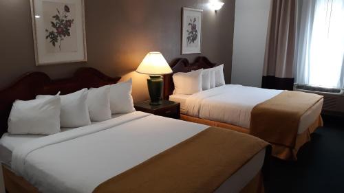 Newberry Hotel | Inviting Moose Lodge: Pet-Friendly Stay with Breakfast Included