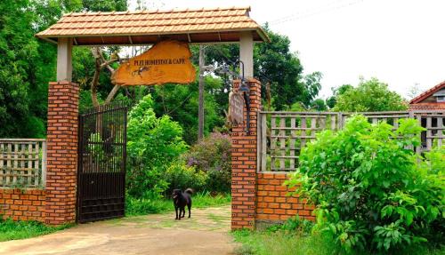 Pleiku House | Top-Rated Plei Homestay & Café: Pet-Friendly Retreat