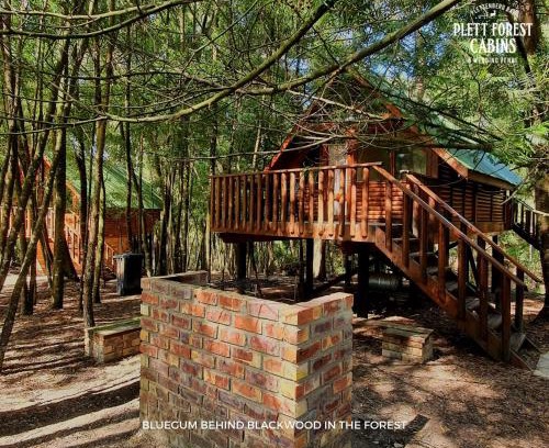 Buffalo Hills Game Reserve Hotel | Cozy Plett Forest Cabins with Pool & Hot Tub Access
