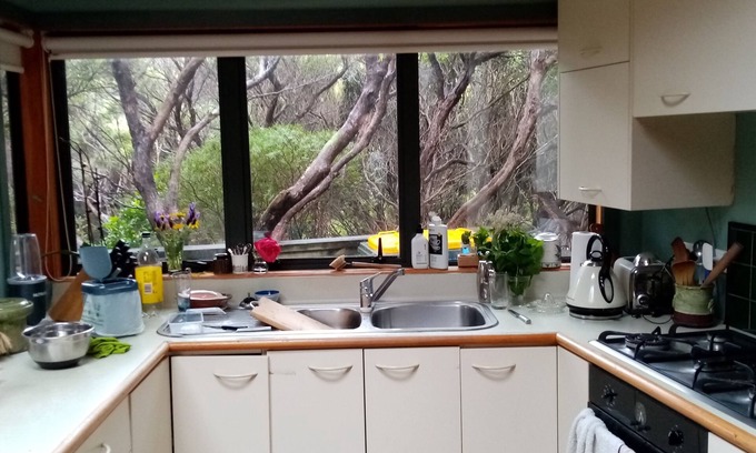 Plimmerton House | Plimmerton Tree Top House: Eco-Friendly Retreat with Ocean View