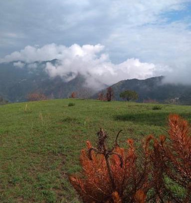 Rajgarh Resort | Plumvelly cottage
