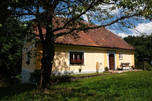 Ljubno ob Savinji House | Počitniška hiša pod RAJHOVKO