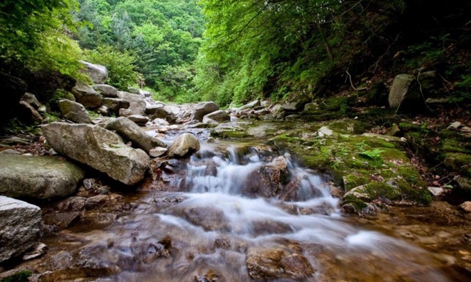 Pocheon House | Eco-Friendly Retreat at Pocheon Joey Tomato Pension