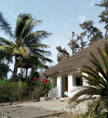 Kafountine Bed & Breakfast | Relax at Poco Loco B&B: Oceanfront & Pet-Friendly Stay