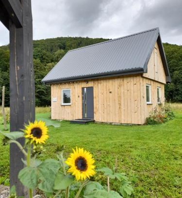 Ladek-Zdroj Ski Chalet | Guest Rated: Pod Górką - Family-Friendly Retreat Awaits