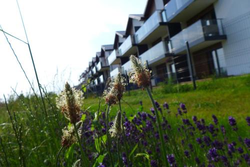 Wyspa Sobieszewska Apartment | Pet-Friendly Getaway at Pod Trzynastką - Rated 9.5/10