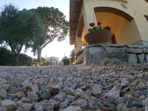 Montalto di Castro Bed & Breakfast | Family-Friendly Retreat at Podere 406 with Great Reviews