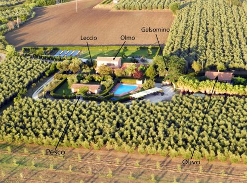 Castagneto Carducci House | Experience Oceanfront Bliss at Podere Campi al Mare